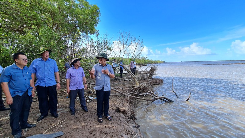 Bí thư Tỉnh ủy Cà Mau Nguyễn Tiến Hải (bên phải) kiểm tra tình hình đầu tư các công trình phòng sạt lở ven biển vào cuối tháng 5/2023.