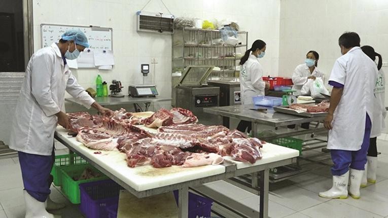Sơ chế sản phẩm thịt lợn sạch tại Hợp tác xã chăn nuôi Hoàng Long.