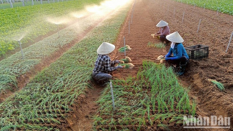 Khoa học và công nghệ phục vụ xây dựng nông thôn mới ở Việt Nam giai đoạn  20212025