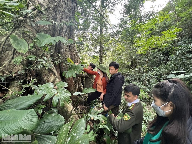 Tổ tuần rừng Thẳm Mu, xã Văn Lang, huyện Na Rì, Bắc Kạn, cùng kiểm lâm tuần tra bảo vệ rừng. (Ảnh: Tuấn Sơn)