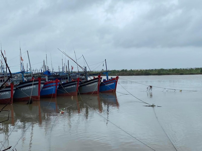 Tàu thuyền của ngư dân thành phố Tuy Hòa, neo đậu bên trong sông Chùa, dọc đường Bạch Đằng tránh bão Noru.