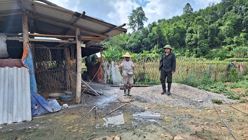 Người dân rắc vôi khử trùng tại khu vực chăn nuôi ở xã Trần Phú. 