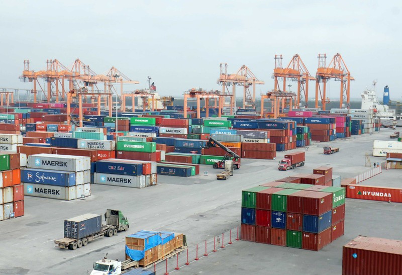 Vận chuyển container xuất nhập khẩu tại cảng Đình Vũ, thành phố Hải Phòng. (Ảnh DUY LINH)
