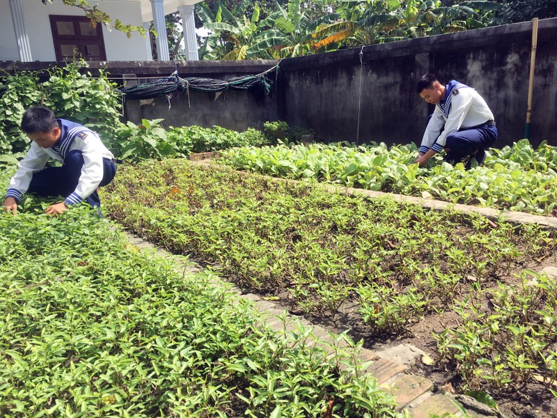 Bộ đội Trường Sa chăm sóc vườn rau sau giờ tập luyện.