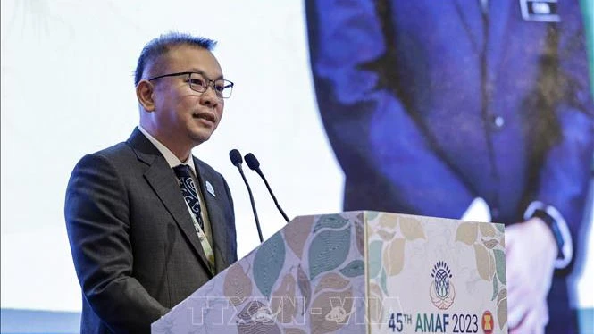 Thứ trưởng Nông nghiệp và An ninh lương thực Malaysia Chan Foong Hin phát biểu tại hội nghị. (Ảnh: TTXVN)