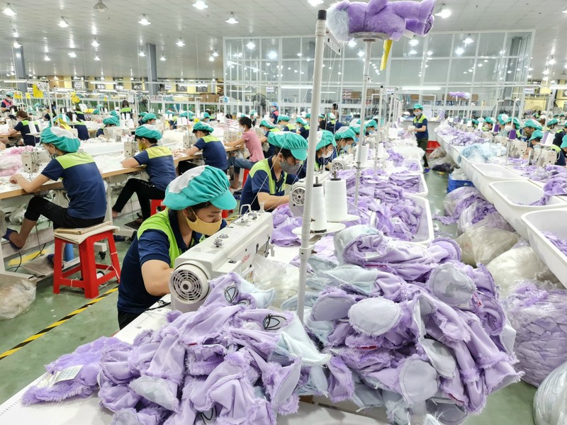 Số doanh nghiệp tăng nhanh tạo thêm nhiều việc làm cho người lao động vùng nông thôn tỉnh Thái Bình (Ảnh: Mai Tú)