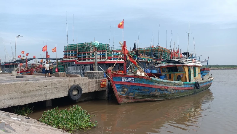 Những tàu cá ở tỉnh Thái Bình không đủ giấy tờ, bằng cấp theo quy định bắt buộc quay về nơi xuất phát.