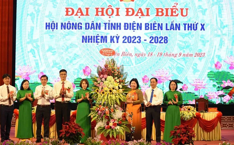 Đồng chí Cao Xuân Thu Vân, Phó Chủ tịch Hội Nông dân Việt Nam tặng hoa chúc mừng đại hội.