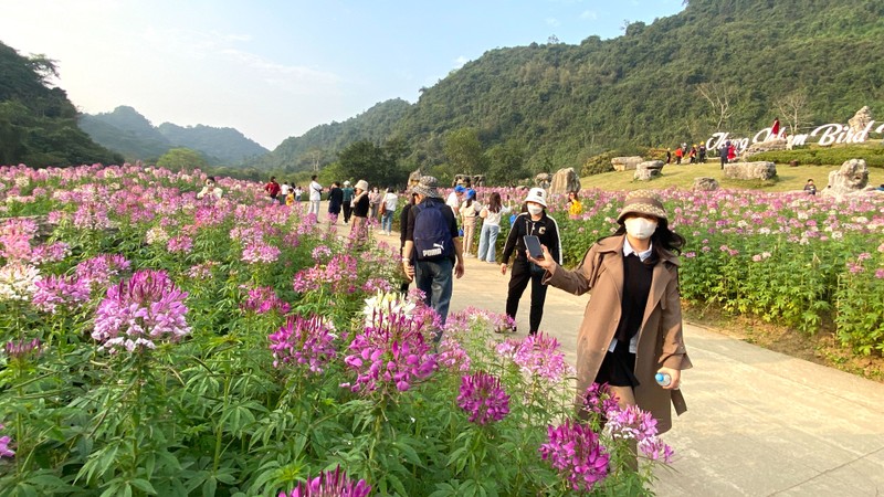 Khu du lịch Thung Nham (Ninh Bình) thu hút khá đông khách thăm quan trong tháng 3/2023.