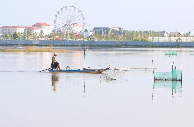 Người dân huyện Vị Thủy bắt cá trên cánh đồng ngập nước. (Ảnh: TTXVN)