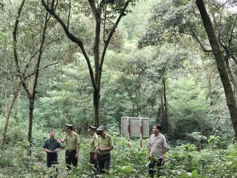 Cán bộ Chi cục kiểm lâm Hải Dương kiểm tra công tác bảo vệ rừng ở xã Hoàng Hoa Thám, thành phố Chí Linh.