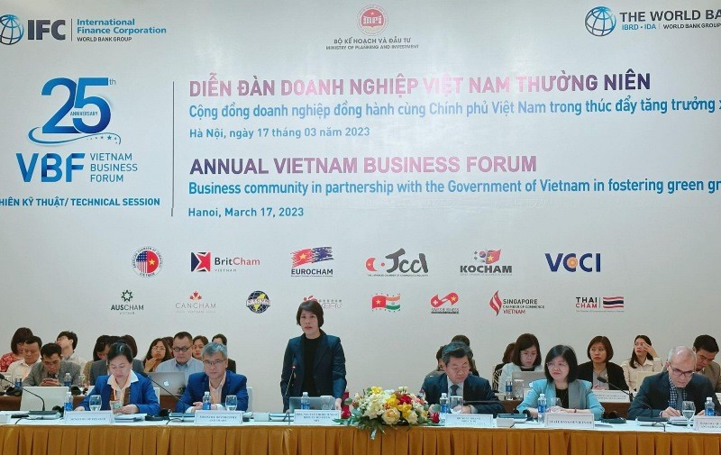 Quang cảnh phiên họp kỹ thuật của Diễn đàn doanh nghiệp Việt Nam thường niên. (Ảnh Lê Tiên)