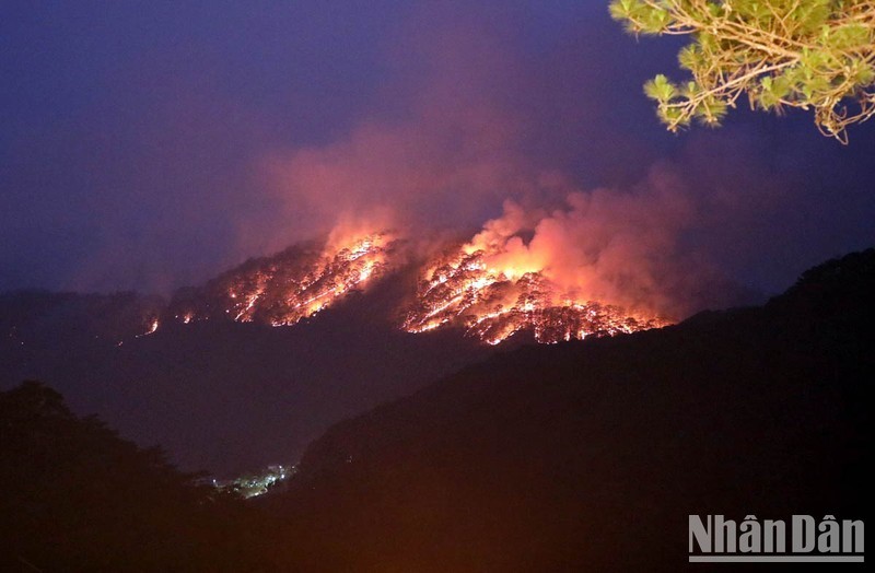 Hiện trường vụ cháy rừng vào ngày 7/4 tại đèo Prenn-Đà Lạt, Lâm Đồng. 