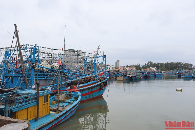 Tàu cá neo đậu tại cảng Mỹ Á, thị xã Đức Phổ (Quảng Ngãi) tránh trú bão. 