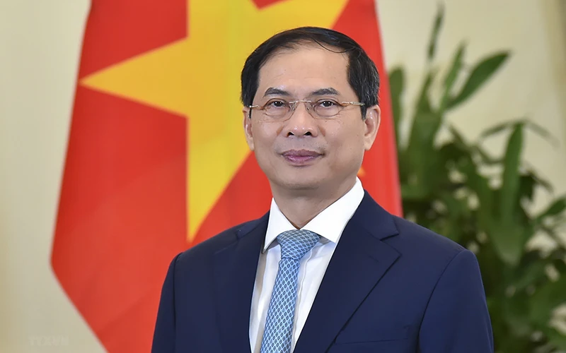 Bộ trưởng Ngoại giao Bùi Thanh Sơn. (Nguồn: TTXVN)