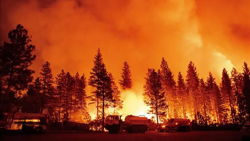 Hiện trường cháy rừng tại Foresthill, California, Mỹ. (Ảnh: AFP/TTXVN)