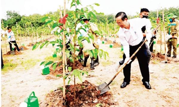 Phó Chủ tịch Ủy ban nhân dân tỉnh Bình Dương Nguyễn Văn Dành trồng cây xanh tại VSIP 2. 