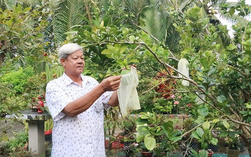 Ông Kim Ruône chăm sóc vườn cây của gia đình. 