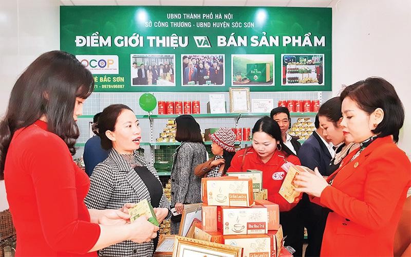Người tiêu dùng tham quan, mua sắm tại điểm giới thiệu và bán sản phẩm OCOP trên địa bàn huyện Sóc Sơn. 