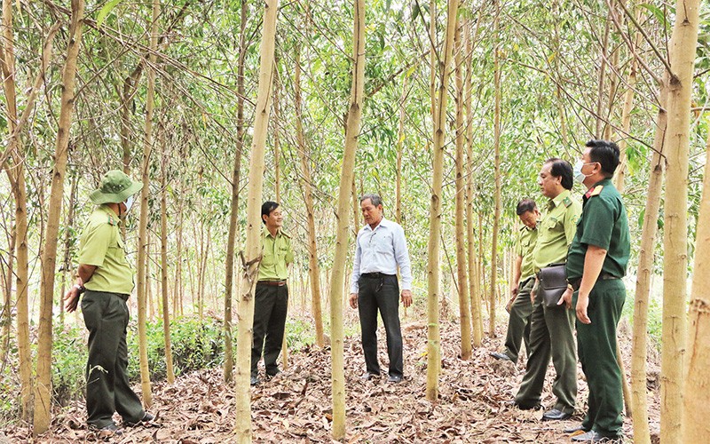 Cán bộ Chi cục Kiểm lâm tỉnh Long An kiểm tra công tác phòng, chống cháy rừng tại huyện Thạnh Hóa. 