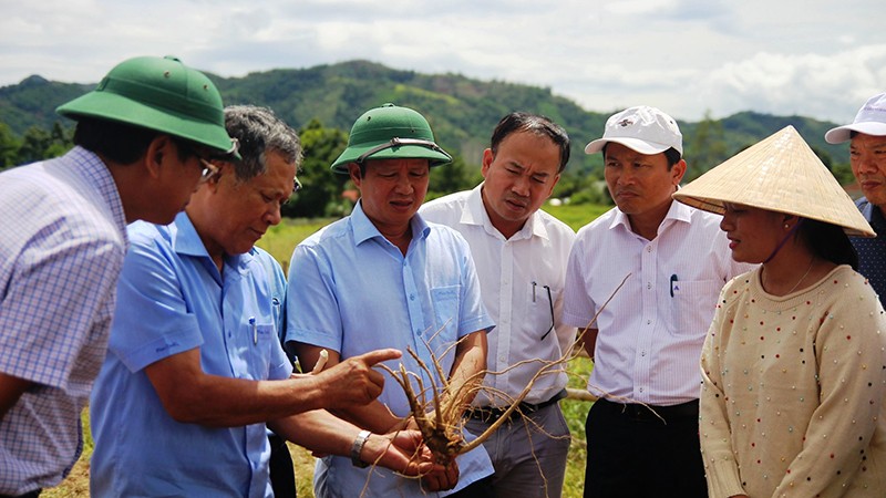 Xe bán trà sữa mô hình kinh doanh thu nhập khủng