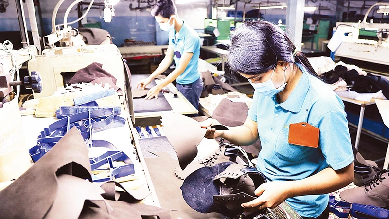 Hoàn thiện sản phẩm giày xuất khẩu tại Công ty cổ phần Tập đoàn Giày Gia Ðịnh, thành phố Thủ Ðức, Thành phố Hồ Chí Minh. (Ảnh HỒNG ÐẠT) 