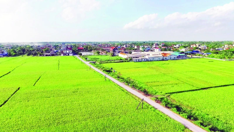 Giao thông nông thôn xã Xuân Hòa, huyện Xuân Trường, tỉnh Nam Định được nâng cấp, giúp kết nối giữa các địa phương. (Ảnh XUÂN KHÁNH)