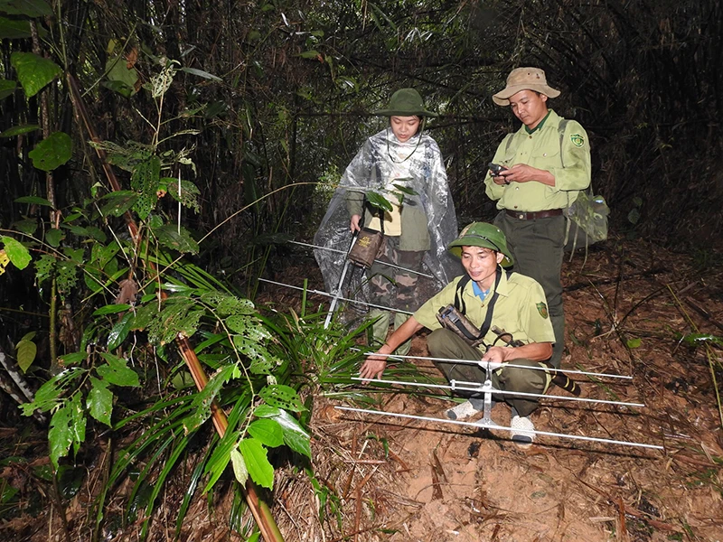 Lực lượng kiểm lâm Khu bảo tồn thiên nhiên Xuân Liên (Thanh Hóa) ứng dụng công nghệ SMART để quản lý, bảo vệ rừng.