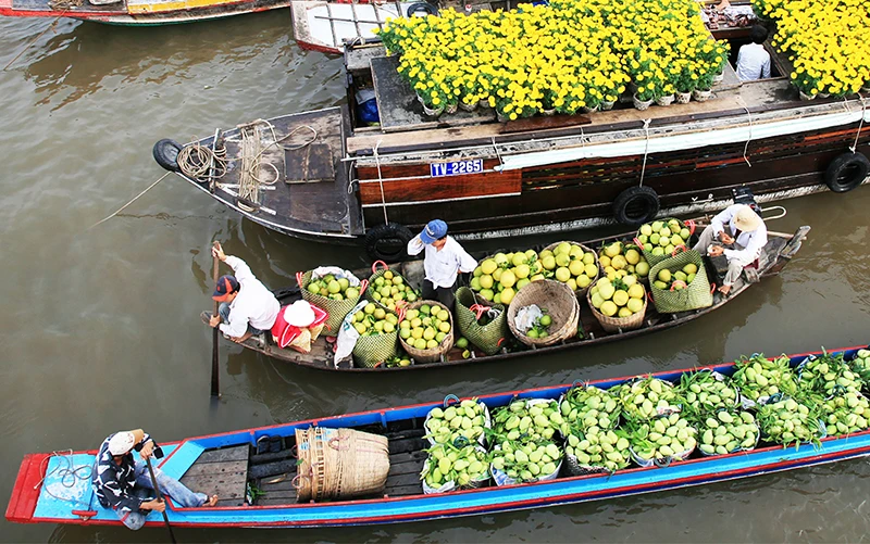 Hoạt động mua bán trái cây ở miệt vườn sông nước Nam Bộ luôn hấp dẫn du khách. (Ảnh NGỌC MAI)
