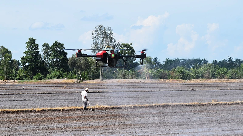 Máy bay phun thuốc trên đồng ruộng tại xã Mỹ Thành Bắc, huyện Cai Lậy (Tiền Giang).