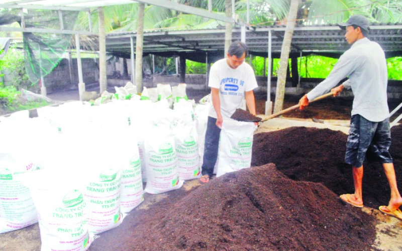 Mô hình liên kết nuôi trùn quế theo nguyên lý kinh tế tuần hoàn tại trang trại của ông Nguyễn Công Vinh (huyện Châu Thành) tỉnh Tiền Giang.