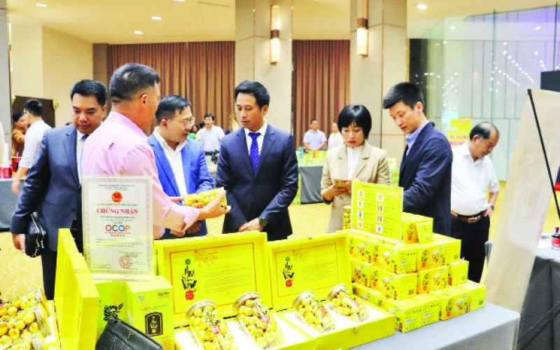 Doanh nghiệp giới thiệu, quảng bá sản phẩm, tìm kiếm cơ hội hợp tác tại Hội nghị “Kết nối cùng phát triển - Link to Grow” tổ chức tại tỉnh Quảng Ninh tháng 8/2023.