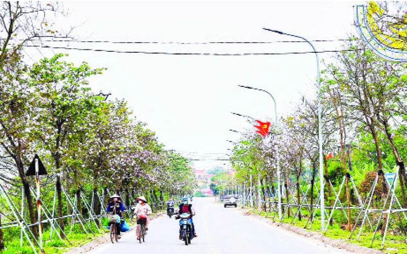 Đường giao thông nông thôn ở xã Yên Mỹ, huyện Thanh Trì. (Ảnh Thanh Hồng)