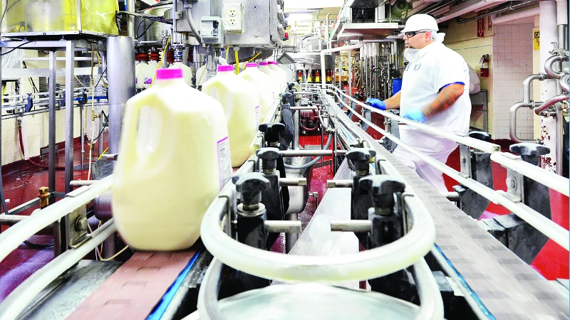 Nhà máy sữa Driftwood của Vinamilk tại Mỹ. (Ảnh Minh Thi)