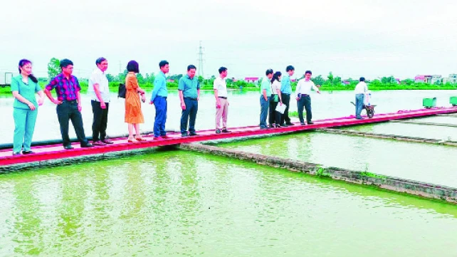 Mô hình nuôi cá “sông trong ao” ở xã Đại Áng (huyện Thanh Trì).