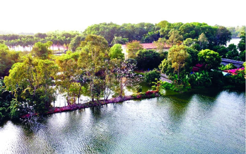 Sân trường rợp bóng chim - nét độc đáo của Trường đại học Nông-Lâm Bắc Giang