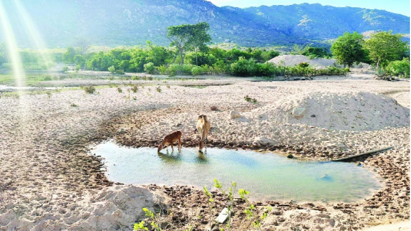 Một hồ chứa nước trên địa bàn tỉnh Ninh Thuận đã cạn kiệt.