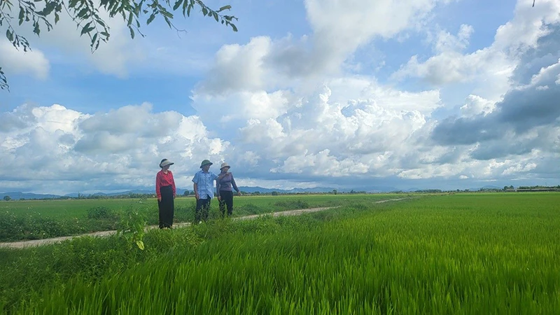 Người dân xã Cẩm Dương, huyện Cẩm Xuyên (Hà Tĩnh) tích cực chuyển đổi ruộng đất, phát triển sản xuất.