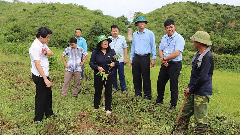 Lãnh đạo Hội đồng nhân dân tỉnh Điện Biên giám sát tiến độ dự án hỗ trợ sản xuất tại huyện Điện Biên Đông. 