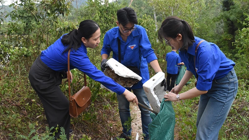 Đoàn viên, thanh niên thành phố Đà Nẵng tham gia dọn rác tại bán đảo Sơn Trà. (Ảnh ANH ĐÀO)