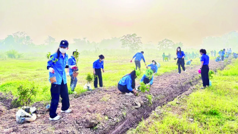 Tuổi trẻ quận Ba Đình trồng cây xanh cải tạo không gian bờ sông Hồng.