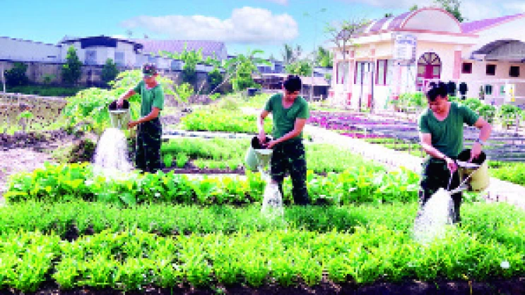 Đại đội Trinh sát cơ giới tăng gia sản xuất.