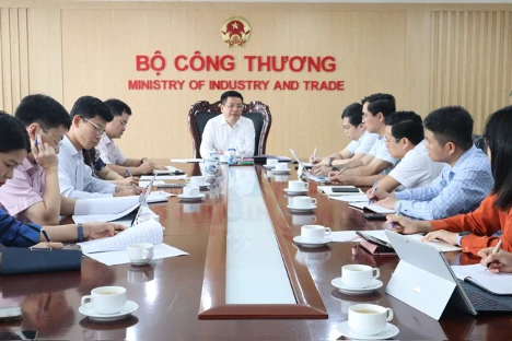 Bộ trưởng Công thương Nguyễn Hồng Diên giao nhiệm vụ cho Đoàn thanh tra chuyên ngành về quản lý và cung ứng điện.