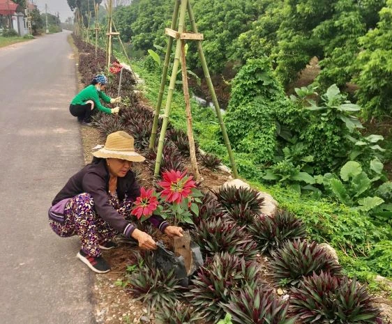 Hội viên phụ nữ xã Tân Dân trồng, chăm sóc đường hoa.
