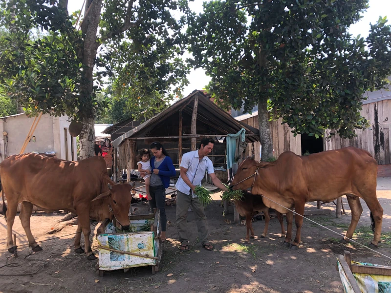 Tây Ninh triển khai các dự án phát triển kinh tế-xã hội vùng đồng bào dân tộc thiểu số.