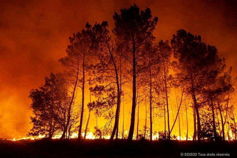 Cháy rừng tiếp tục lan rộng ở vùng Gironde phía tây nam nước Pháp trong những ngày vừa qua. (Ảnh: Reuters)