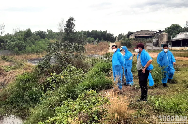 Bí thư Tỉnh ủy Đồng Nai Nguyễn Hồng Lĩnh (ngoài cùng bên trái) kiểm tra hệ thống xử lý nước thải tại một cơ sở nuôi lợn gây ô nhiễm môi trường ở huyện Long Thành.