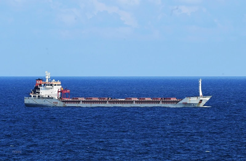 Tàu chở ngũ cốc của Ukraine tới ngoài khơi bờ biển thành phố Istanbul, Thổ Nhĩ Kỳ. (Ảnh: THX/TTXVN)