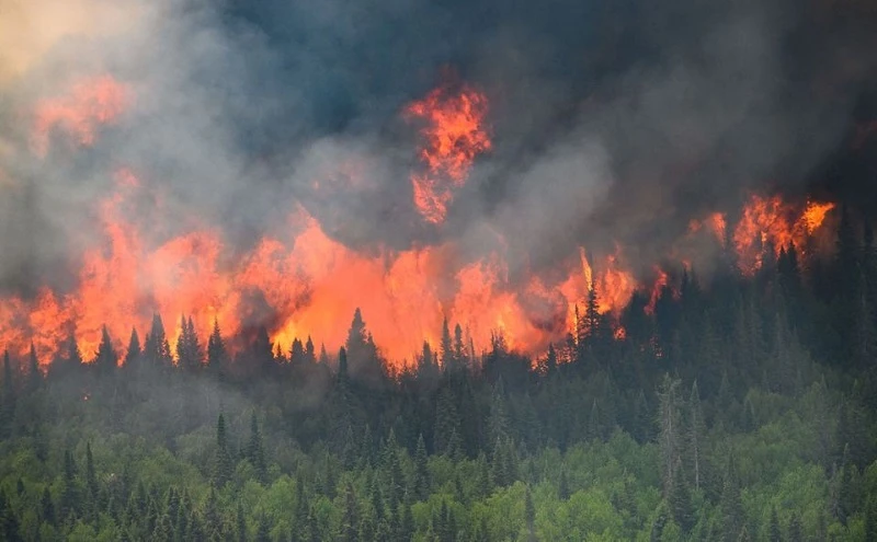 Mùa cháy rừng ở Canada thường đạt đỉnh điểm vào cuối tháng 7 hoặc tháng 8, với lượng khí thải tăng liên tục trong suốt mùa hè. (Ảnh: Reuters)