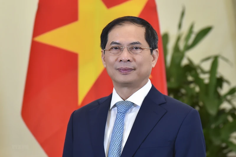 Bộ trưởng Ngoại giao Bùi Thanh Sơn. (Nguồn: TTXVN)